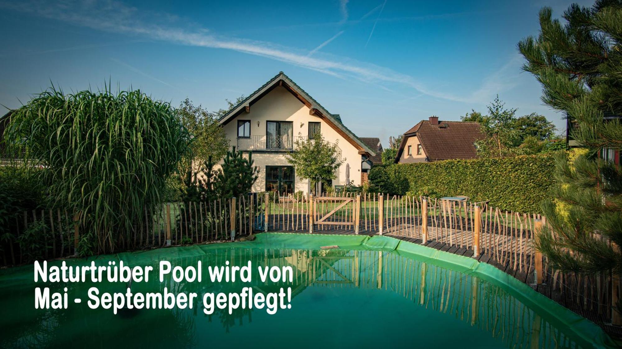 מונשאו Ferienhaus Mountfrosch Mit Sauna Und Naturpool מראה חיצוני תמונה